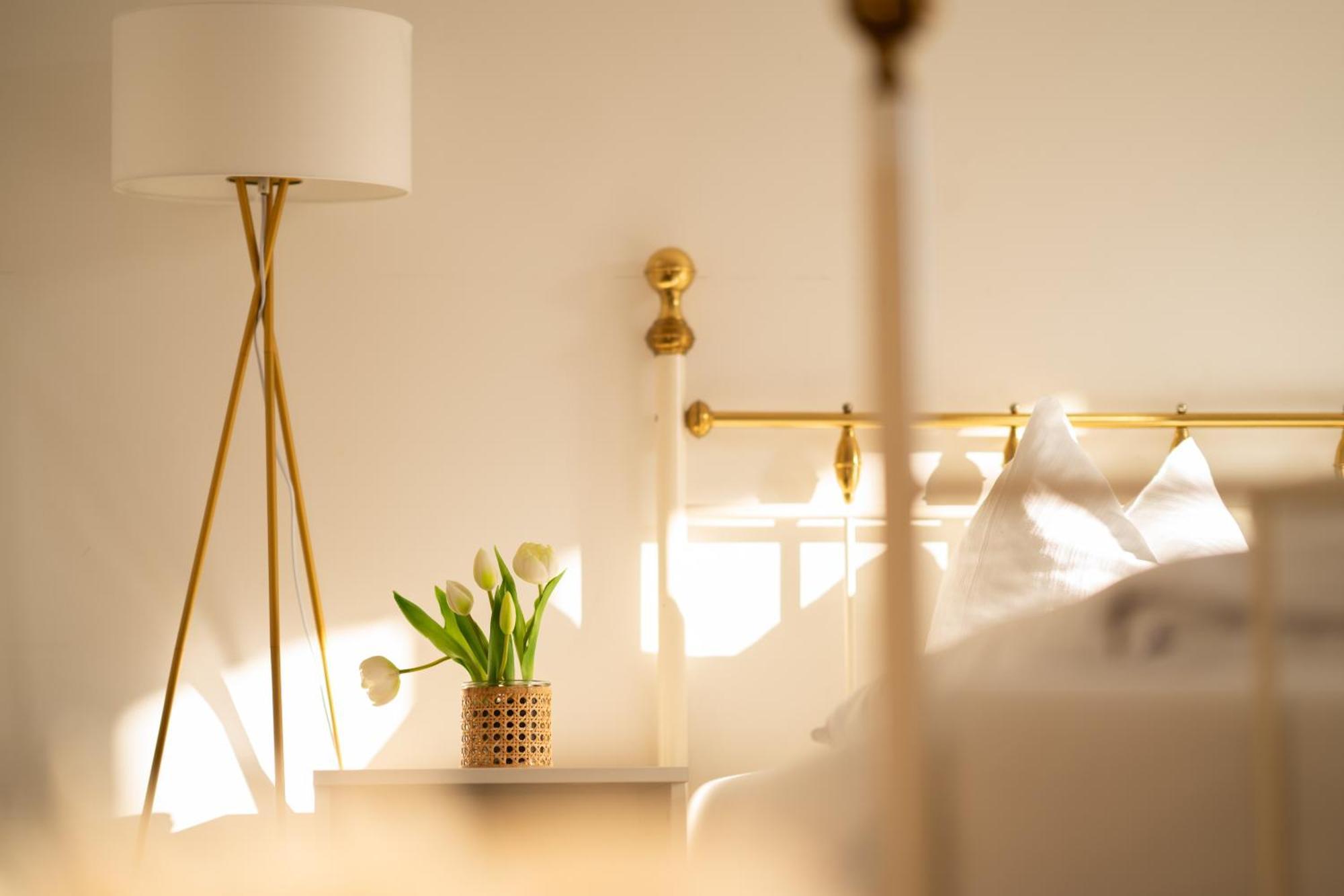 Homy Oasis In Apartment